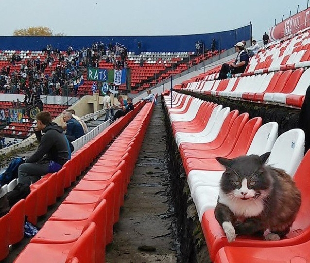 Пишу стихи хорошие...