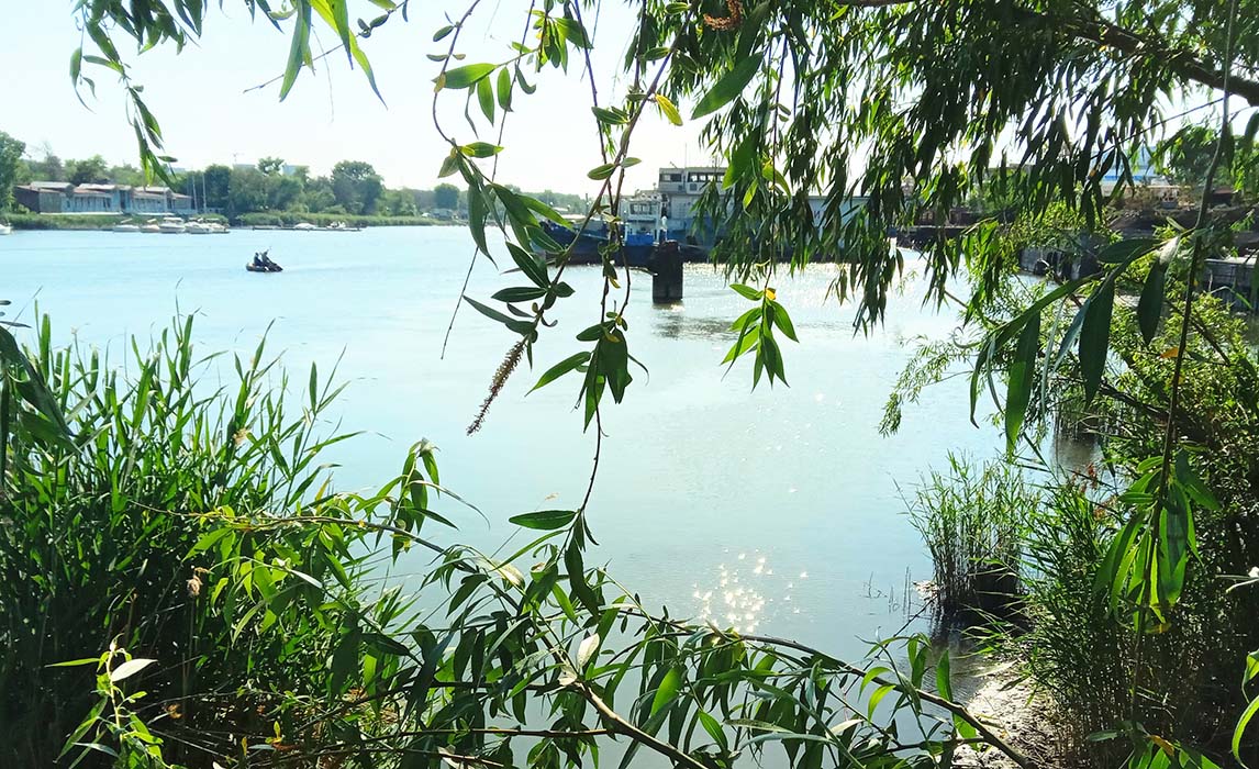 О чем мне шепчут тополя?