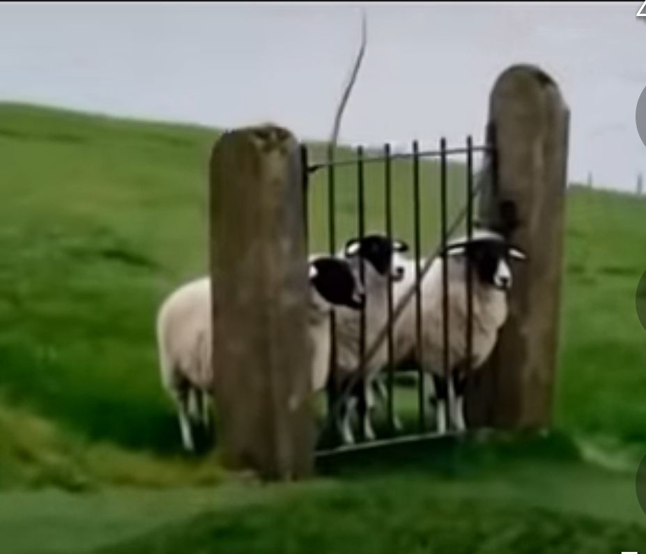 Товарищ, верь...