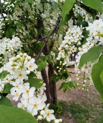 В канун перемен последнего звонка
