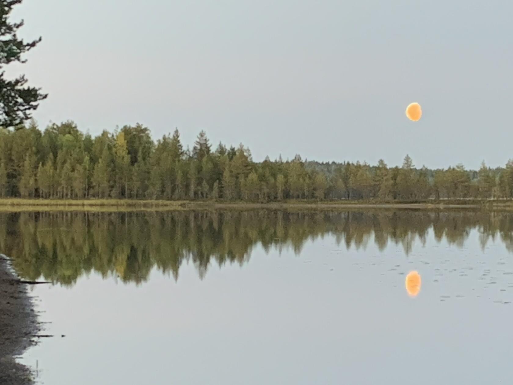 Сладкий глоток вольного воздуха