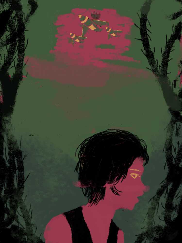 Про Красную Шапочку...