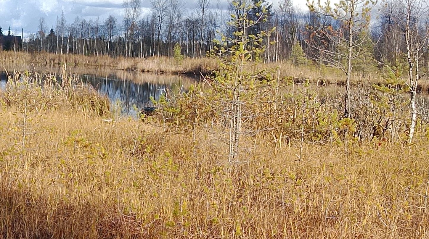 Как умирают озёра