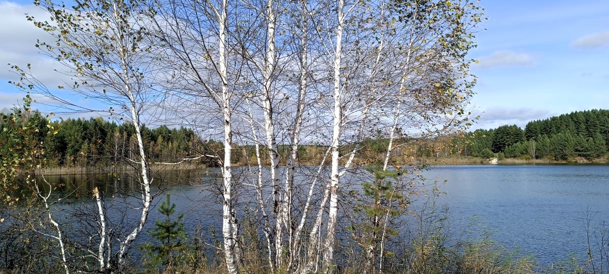 Поэзия жизни или, когда эмоции захлестывают