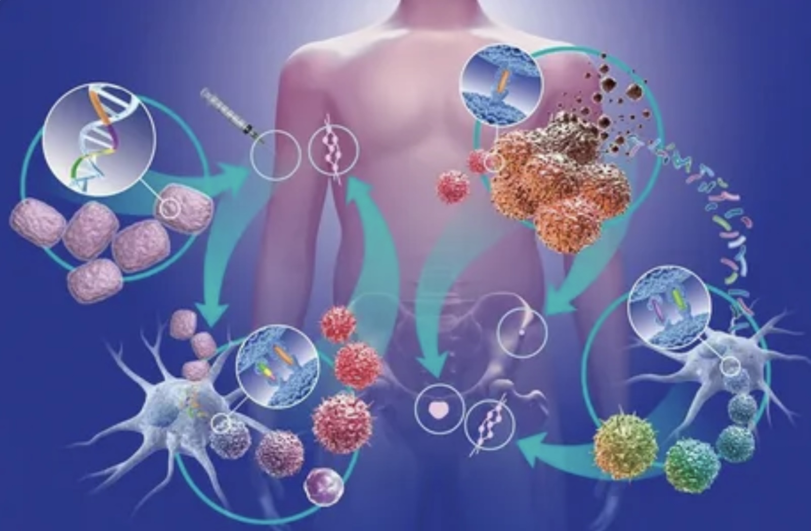 Стражи Плюрипотентности