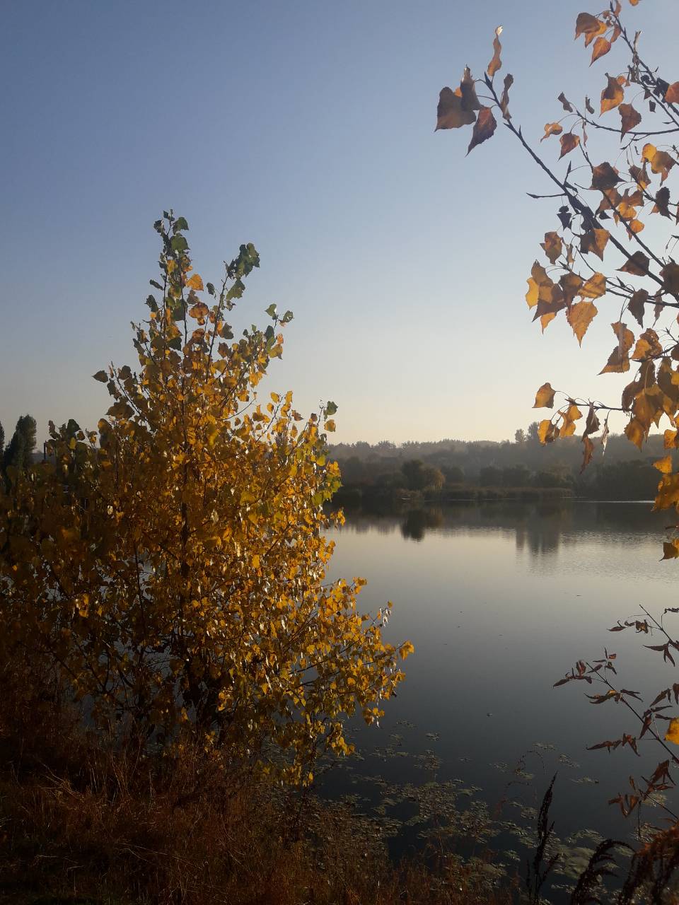 Мелодия для души