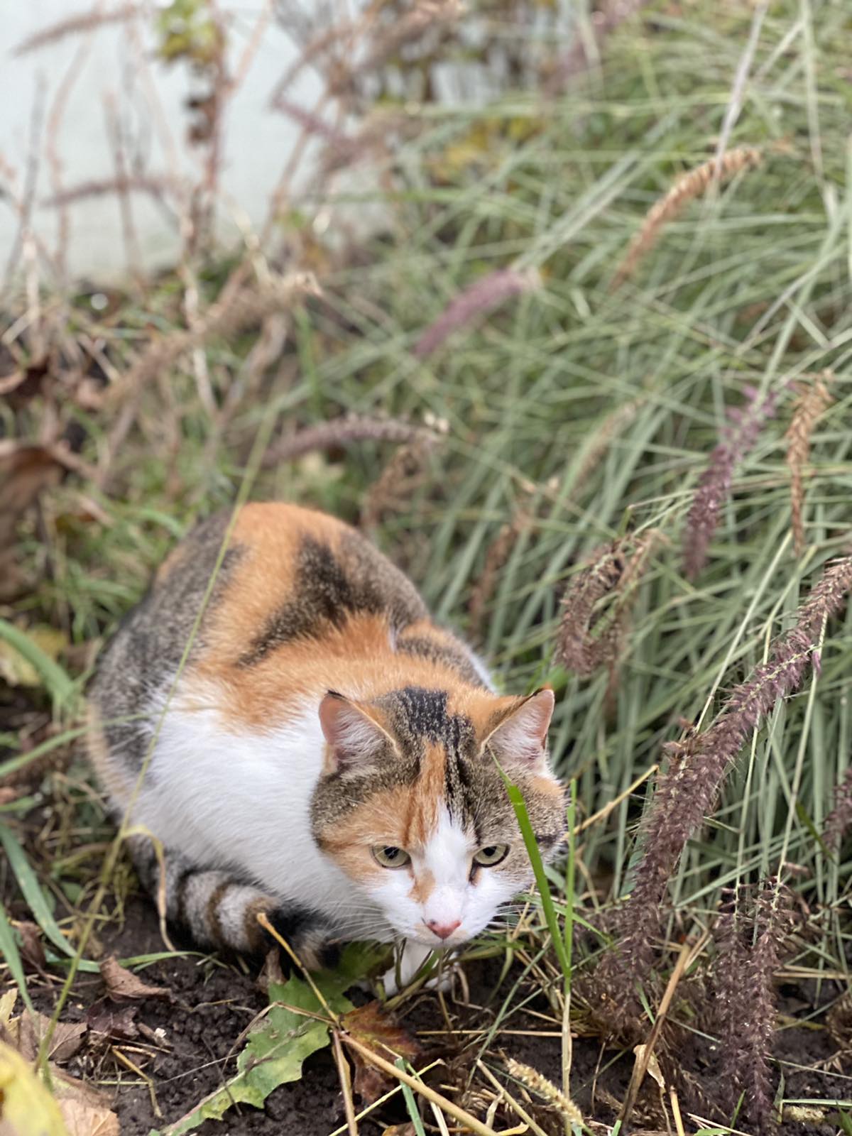 Время теплых мыслей