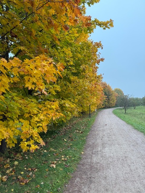 О встрече Осени с Зимой..