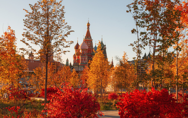 Златом осени природа полита