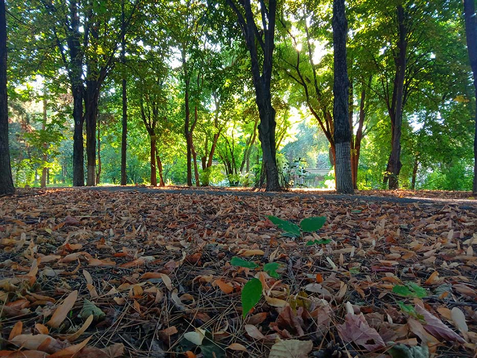 Пустота и наполненность