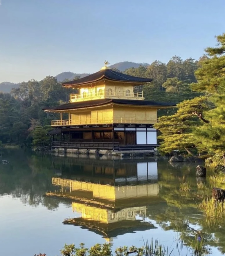 Непрерывность идентичности чудесная загадка мира!