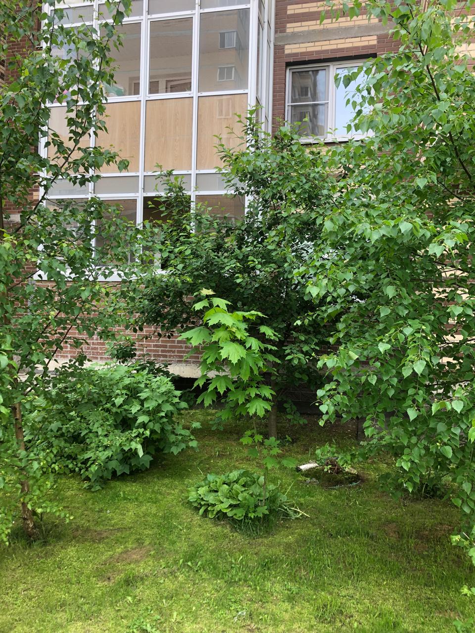 Зарубки памяти