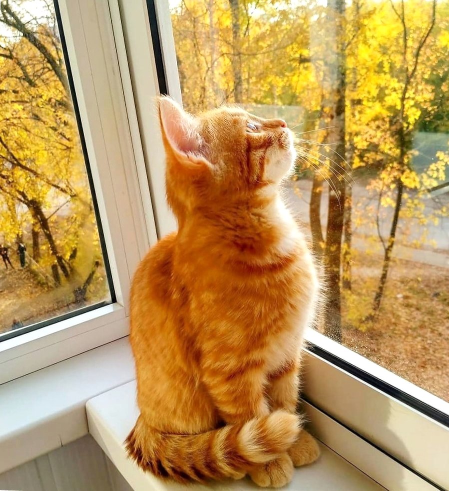 За окном - небеса...