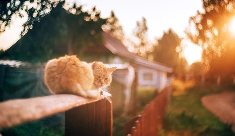 Похолодало на дворе...