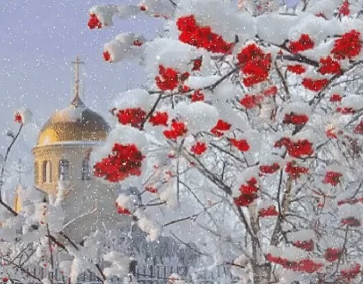 Первые снежинки