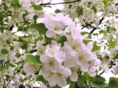 Удивительное время