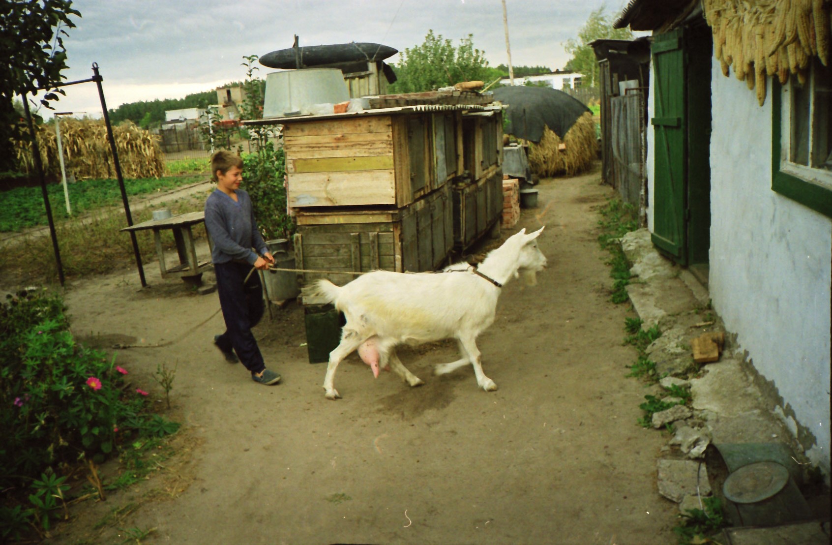 Коза Марта и внук