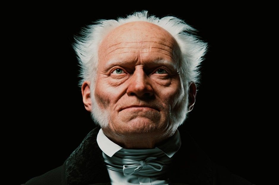 Возражение Шопенгауэру