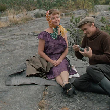 Павел Суровой Любовь и голуби о геополитике