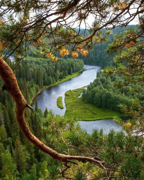 Так работает тело твоё