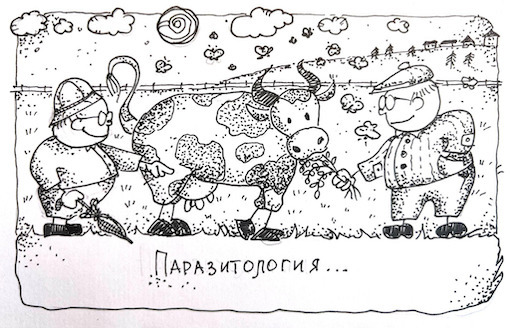 Глава 9. Паразит в паразите