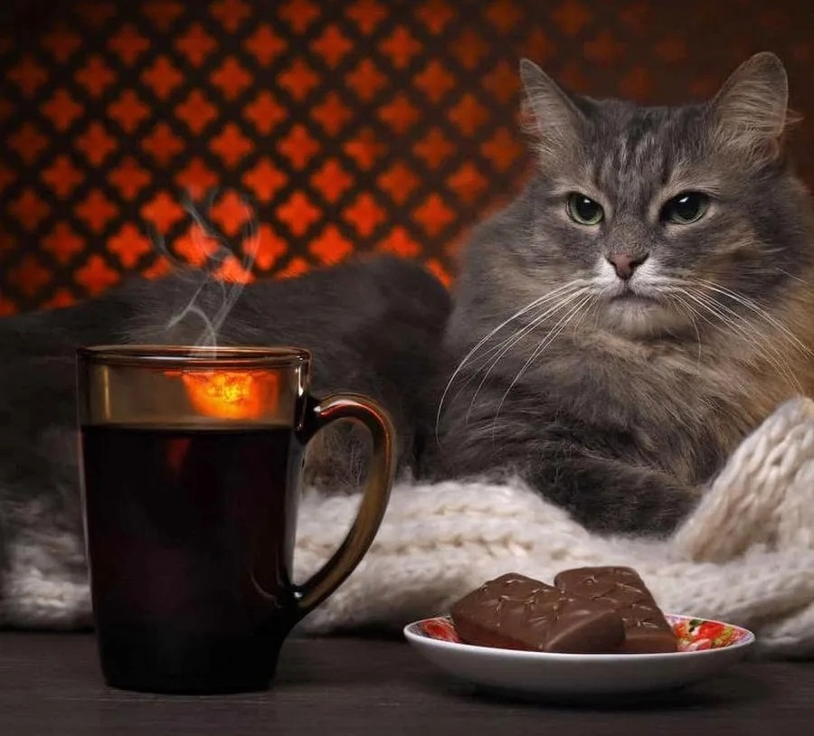 Осенний вечер - 08. 05