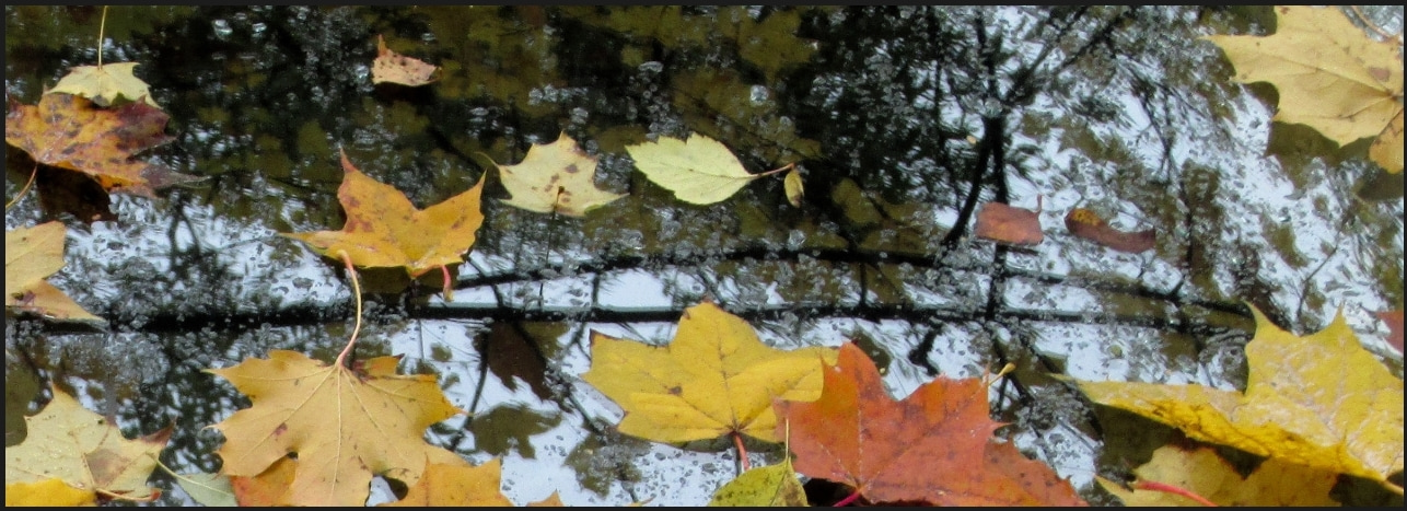 Метеорологический светофор