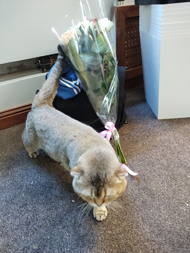 Русый локон и ключи от счастья