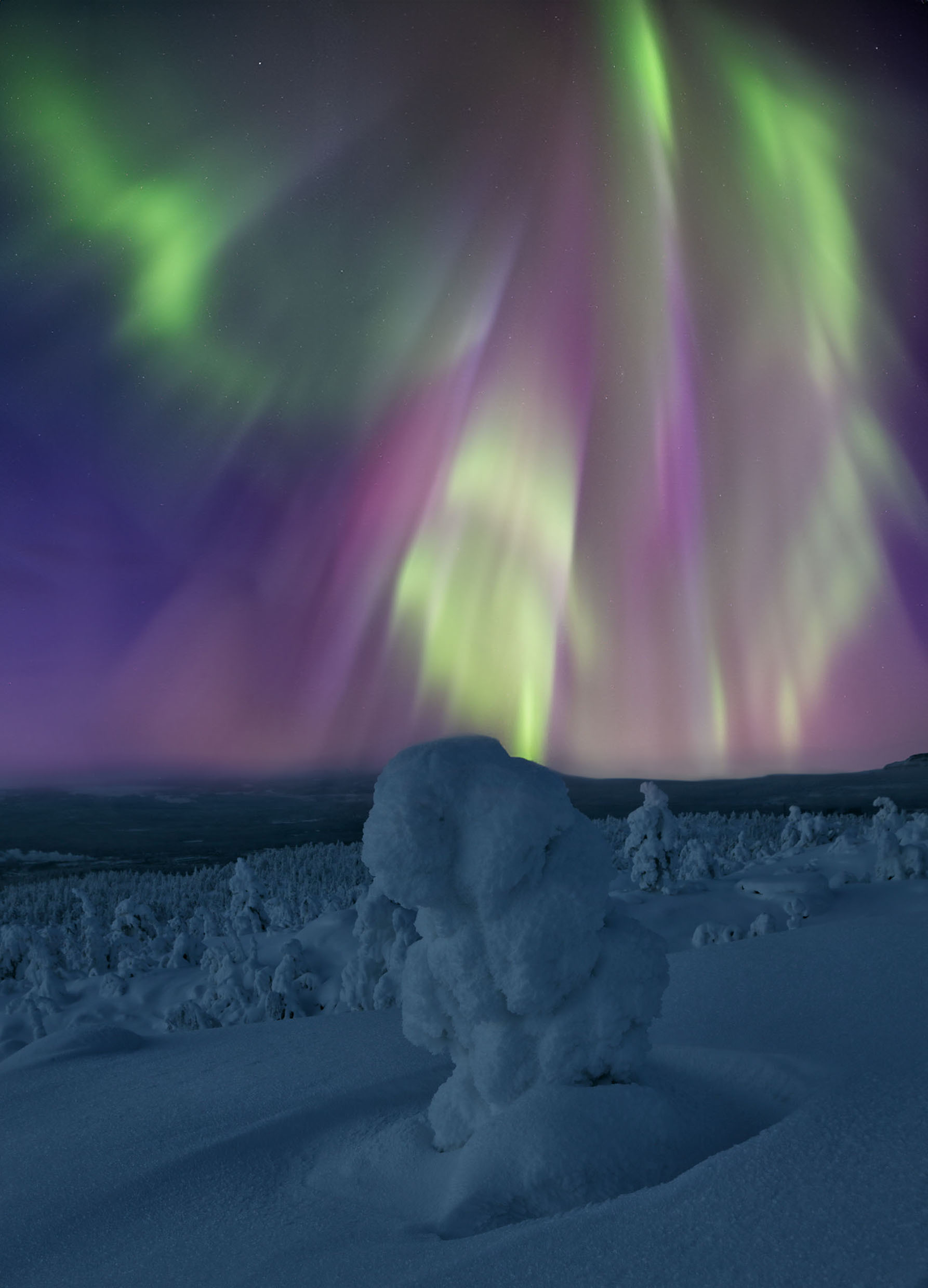 Арктическое вдохновение