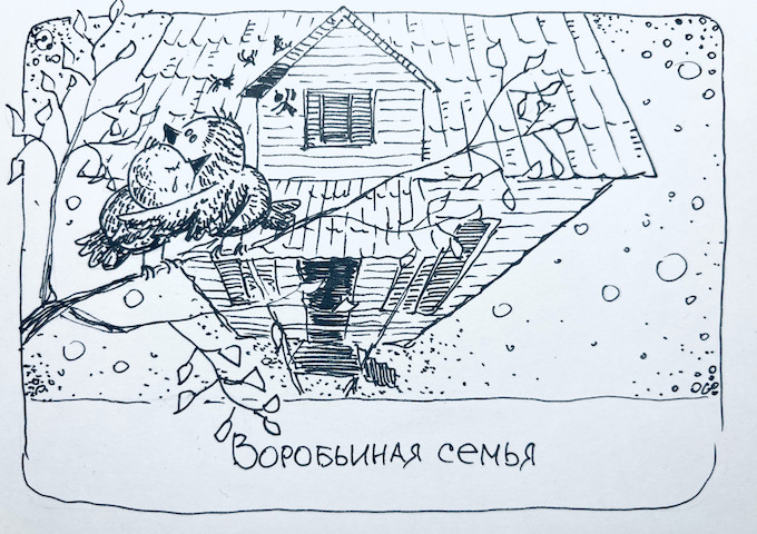 Воробьиная семья и Пятая заповедь