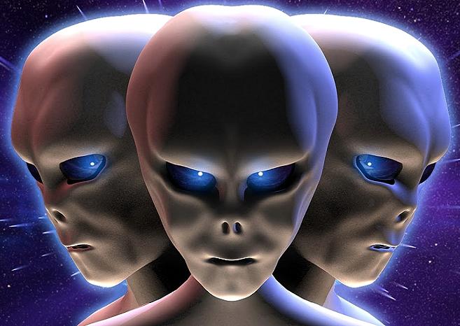 Базы часть 21