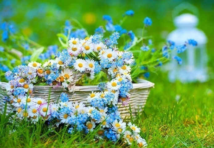 Энергии свободы, стойкости Духа и самоуважения