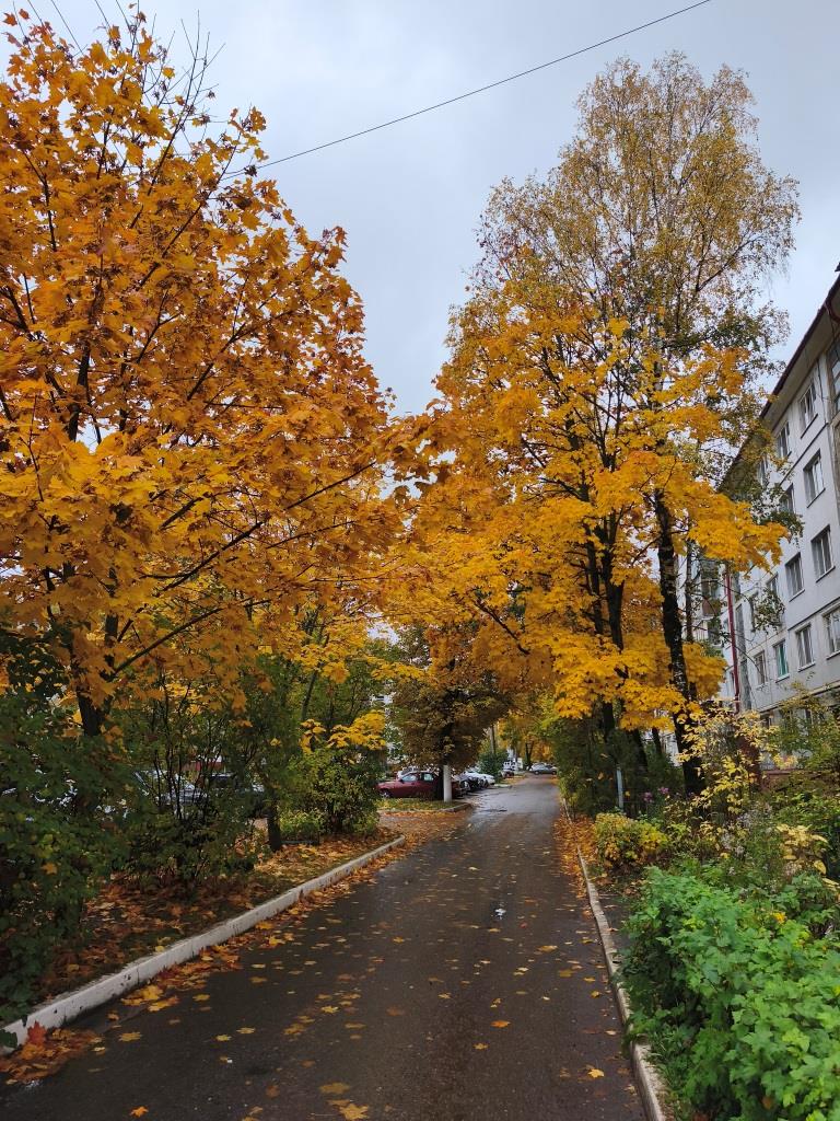 Осень в городе