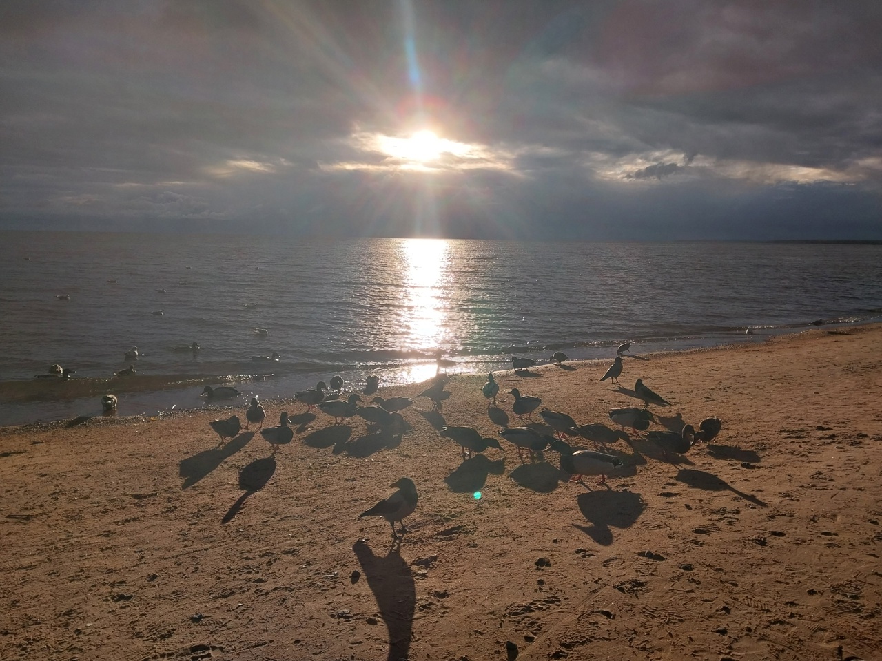 Что важнее всего