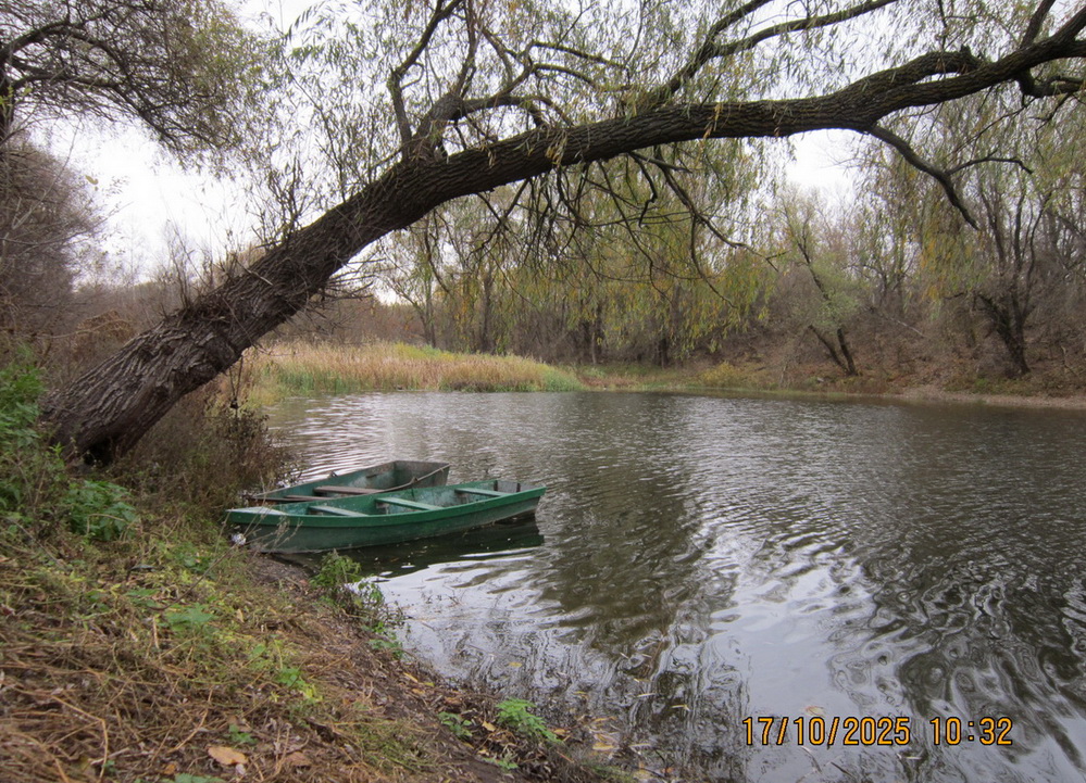 Залив Мигулянка в октябре