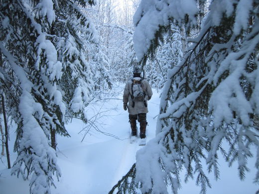 Объятья извне