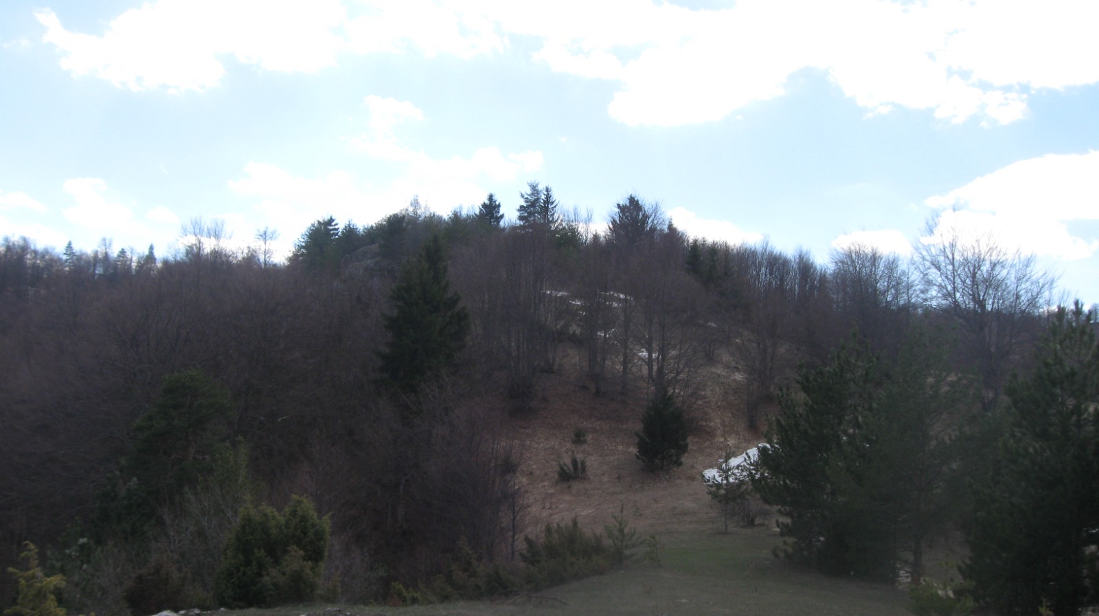 Операция Подобран