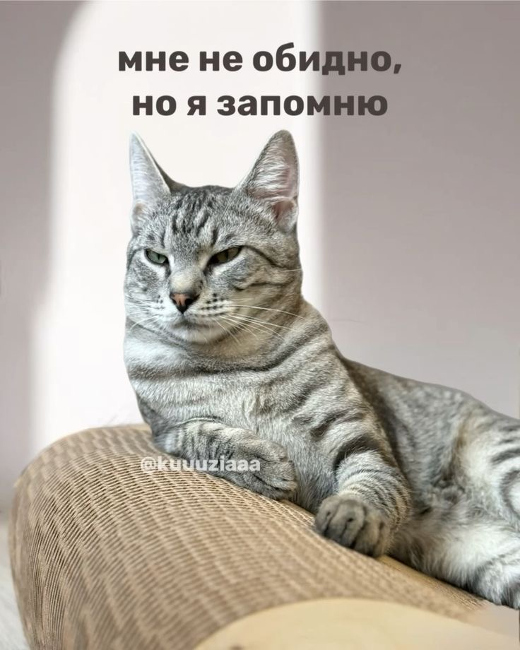 Обида!
