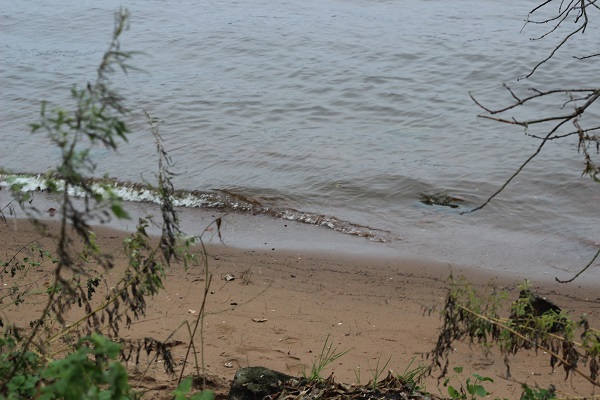 Письмо приятелю