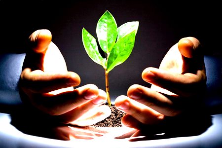 Что в этом мире?