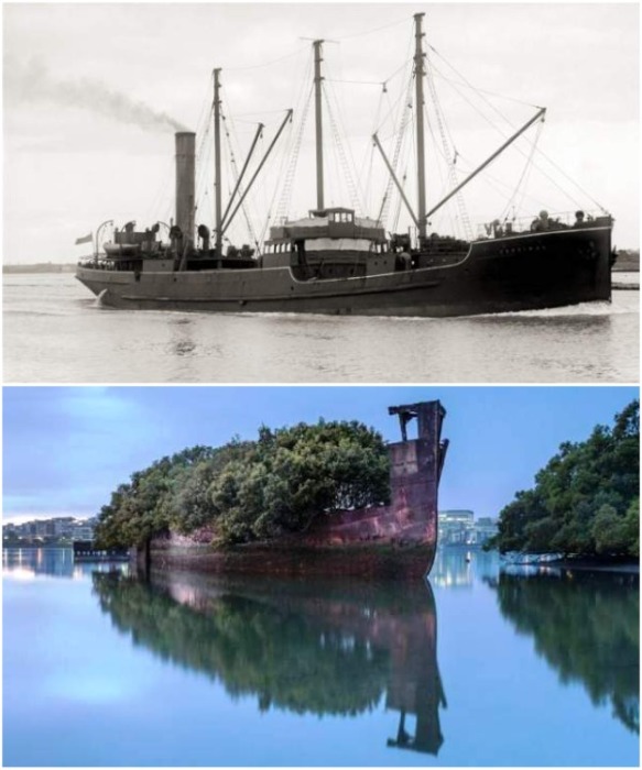 Завершающая часть. Начало в Частях 1, 2, 3, 4, 5,