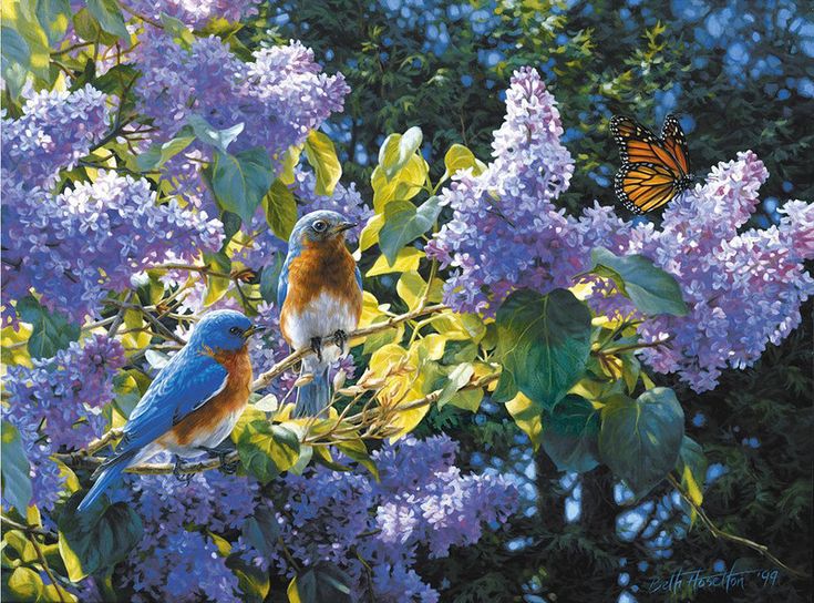 Экран горит огнём чужой войны