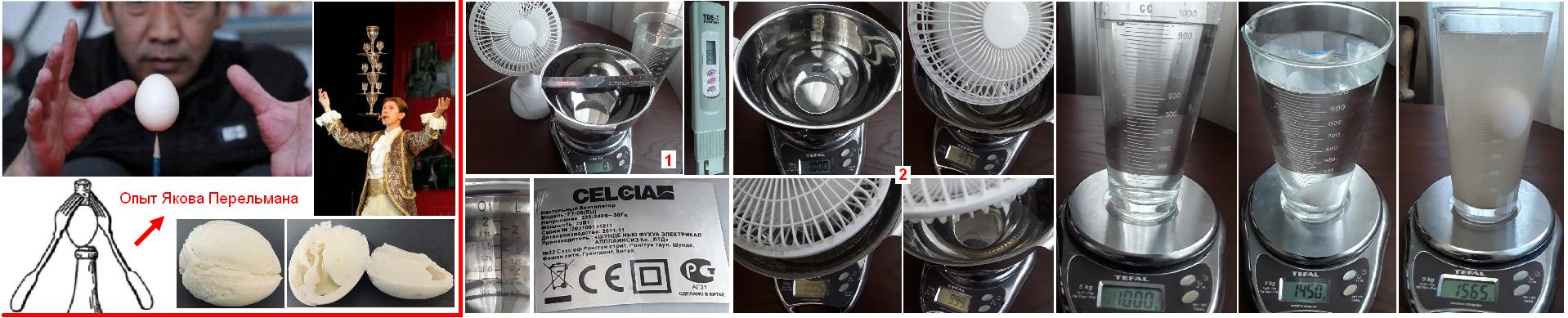 Вопля 10. Секрет куриного яйца