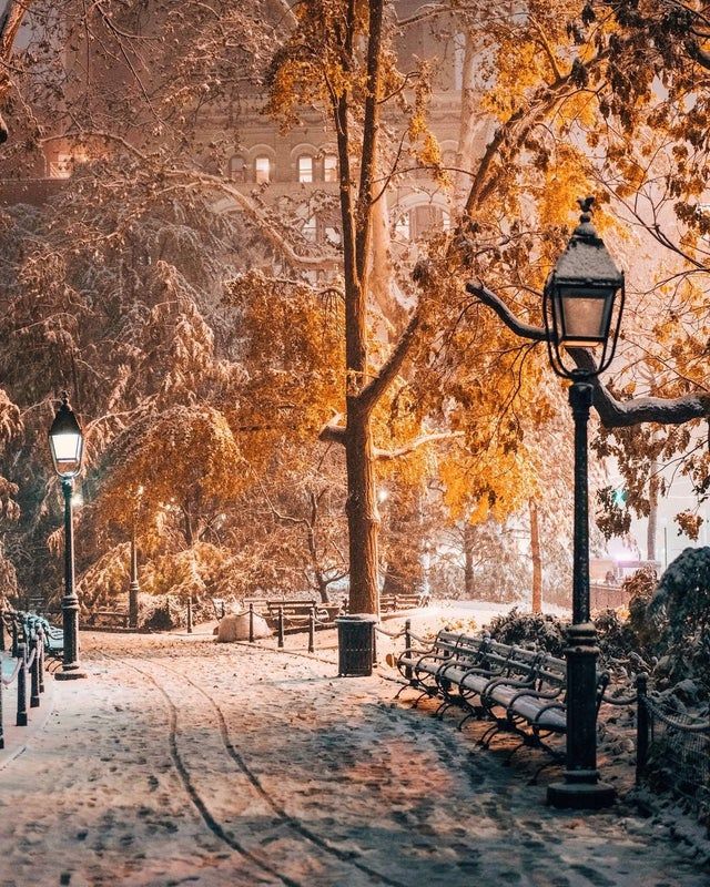 По первому снегу