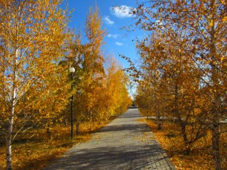 Осеннее настроение