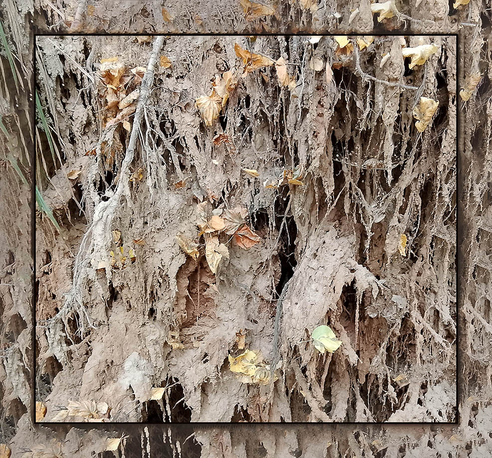 О себе и людях