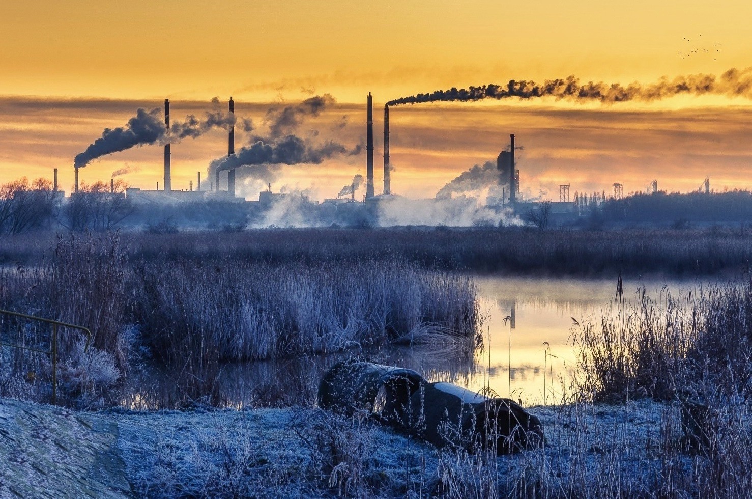 Осенняя ночь умирает...