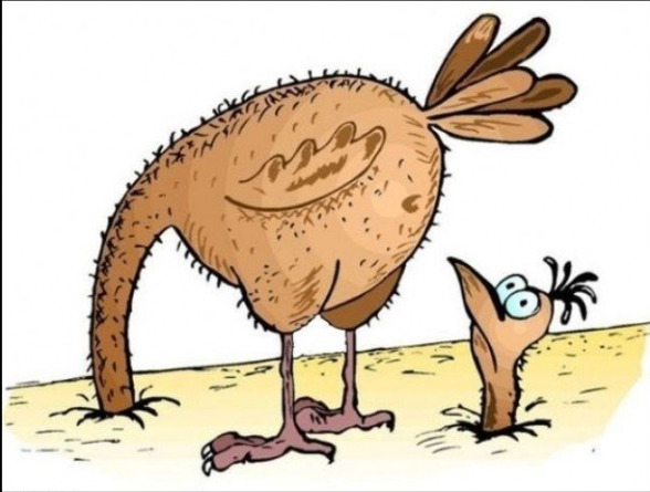 Омская Жанна д Арк и война за трусы