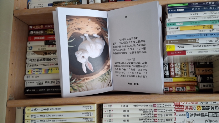 Вомбат и Кролик. 3. И лес затих...