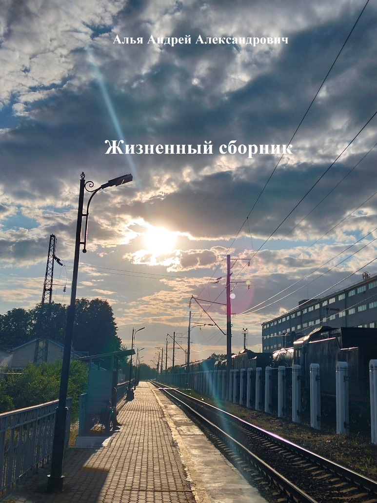 Жизненный сборник